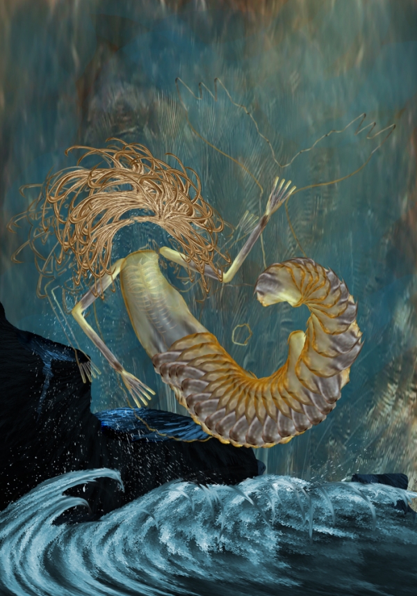 Creation of Mermaid: Step 11